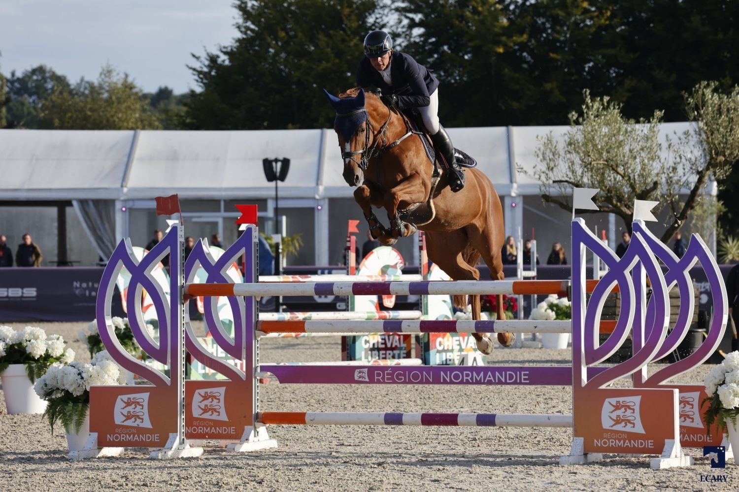 équi-normandie National Pro 1 / Championnat départemental Amateur, Club et Poney