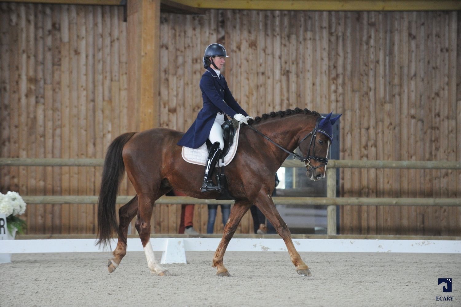 équi-normandie Grand Régional de Dressage